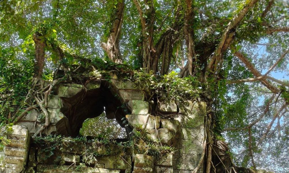 Siem Reap Airport to Beng Mealea Temple Discovery