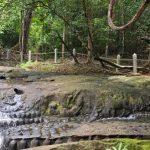 Kbal Spean Siem Reap